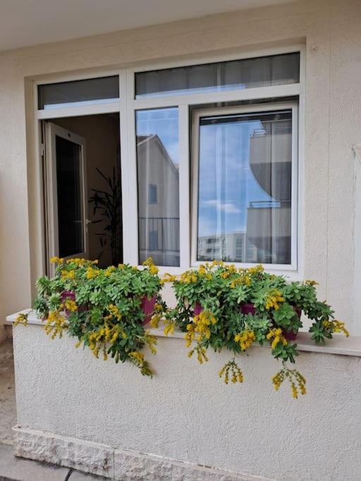 Holiday Home Apartment *